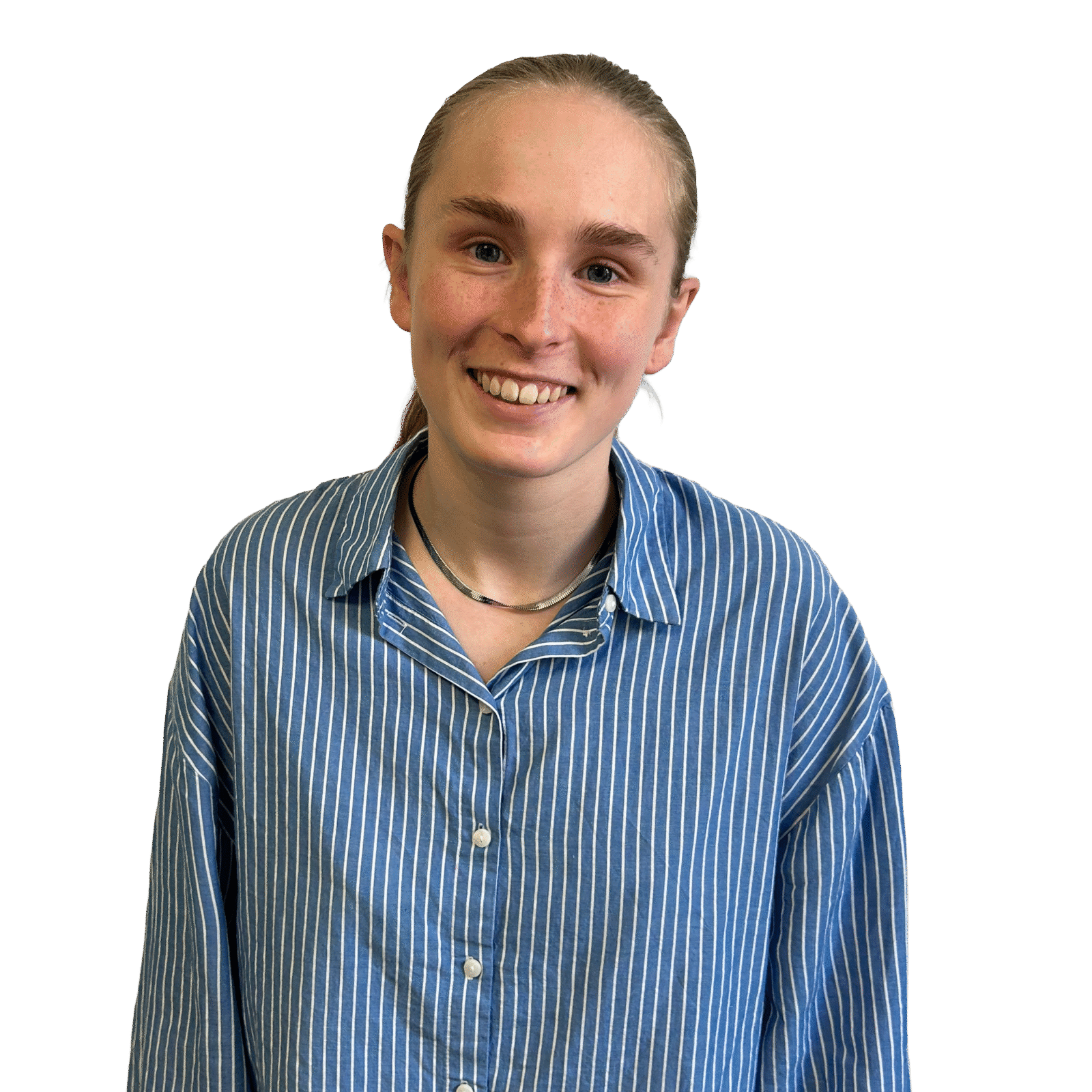 Signe Uden Bagrund Ingen Redigering I Billedet Png